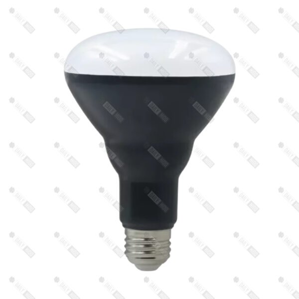 R95 (BR30) LED Light Bulb E26/E27 Base